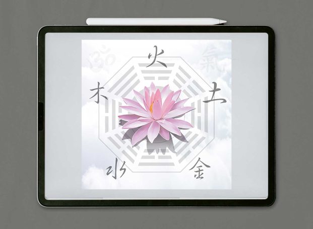 Lotusblume auf grauem Hintergrund mit symbolischen Schriftzeichen.
