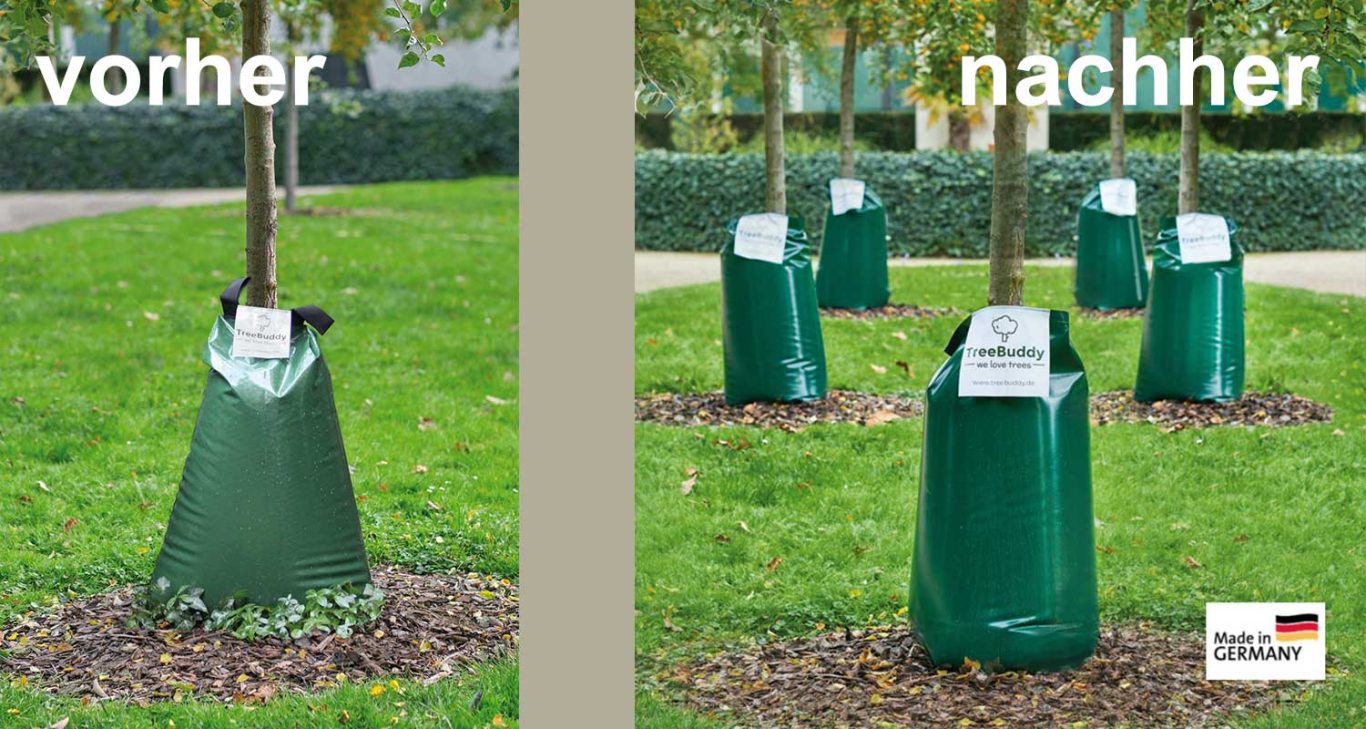 Treebuddy - Bewässerungssäcke Grüner Baumbewässerungssack vor und nach der Nutzung, in einem gepflegten Park.